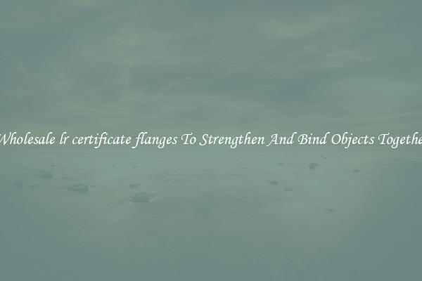 Wholesale lr certificate flanges To Strengthen And Bind Objects Together