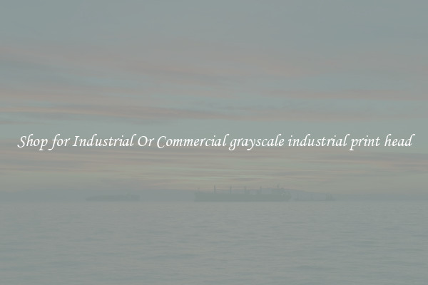 Shop for Industrial Or Commercial grayscale industrial print head