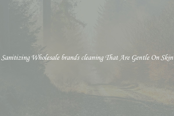 Sanitizing Wholesale brands cleaning That Are Gentle On Skin