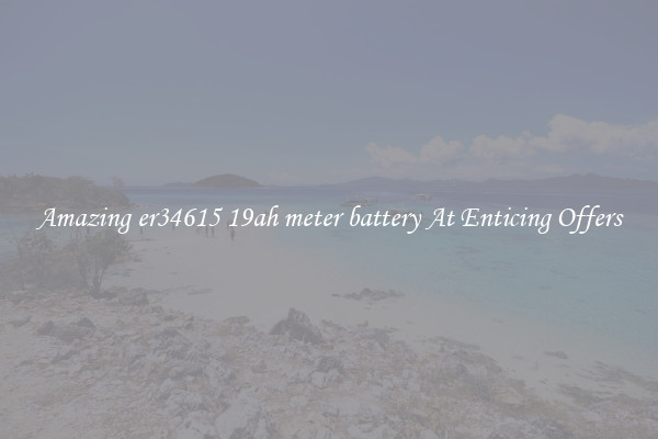Amazing er34615 19ah meter battery At Enticing Offers