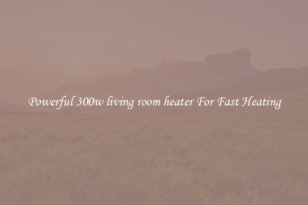 Powerful 300w living room heater For Fast Heating