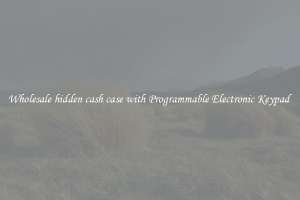 Wholesale hidden cash case with Programmable Electronic Keypad 