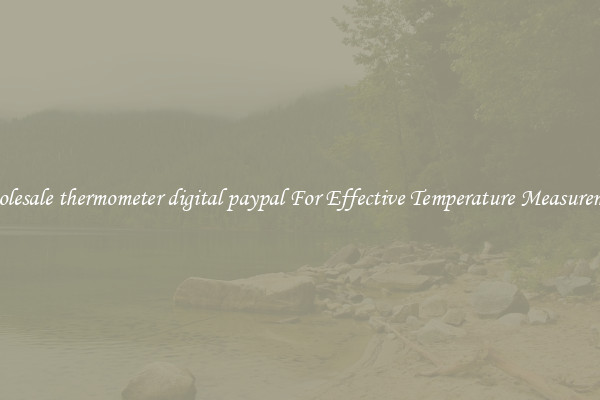 Wholesale thermometer digital paypal For Effective Temperature Measurement
