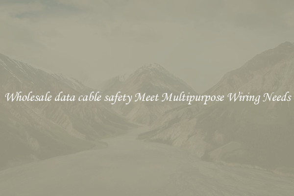 Wholesale data cable safety Meet Multipurpose Wiring Needs