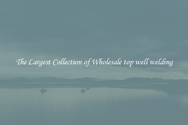 The Largest Collection of Wholesale top well welding