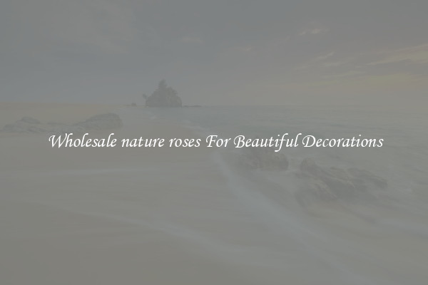 Wholesale nature roses For Beautiful Decorations