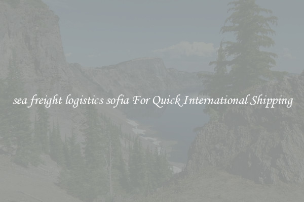 sea freight logistics sofia For Quick International Shipping