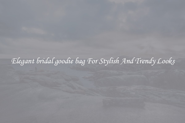 Elegant bridal goodie bag For Stylish And Trendy Looks