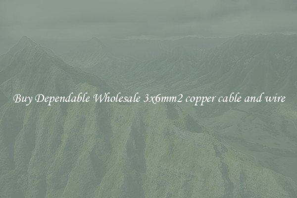 Buy Dependable Wholesale 3x6mm2 copper cable and wire
