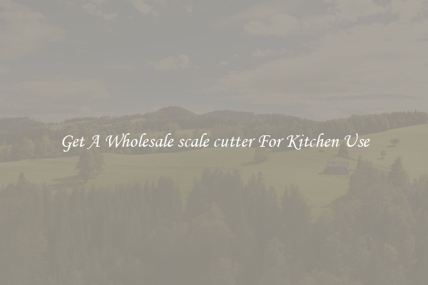 Get A Wholesale scale cutter For Kitchen Use