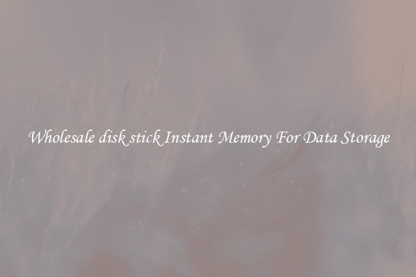 Wholesale disk stick Instant Memory For Data Storage