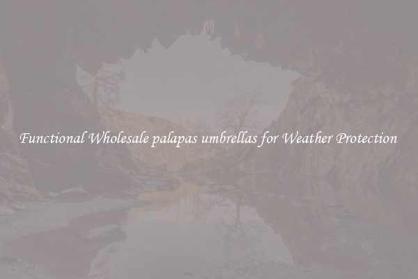 Functional Wholesale palapas umbrellas for Weather Protection 